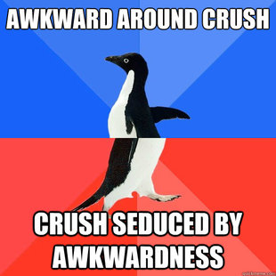 Socially Awkward Awesome Penguin