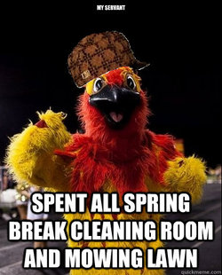 Scumbag Firebird