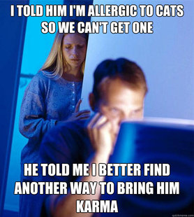 Redditors Wife