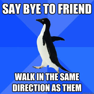 Socially Awkward Penguin