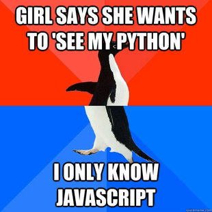 Socially Awesome Awkward Penguin