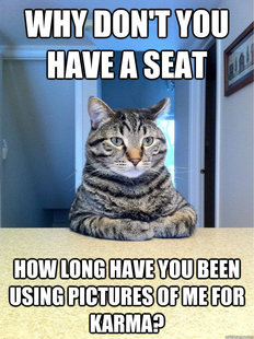 Chris Hansen Cat