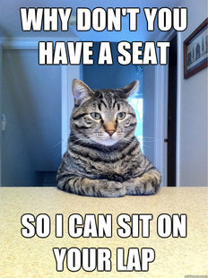 Chris Hansen Cat