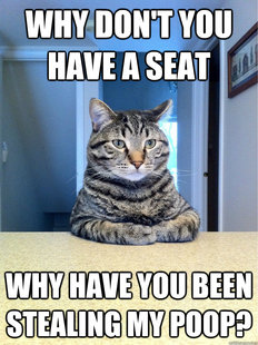 Chris Hansen Cat