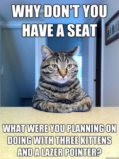 Chris Hansen Cat
