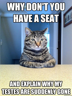 Chris Hansen Cat