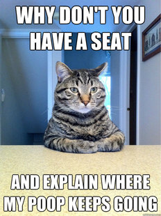 Chris Hansen Cat