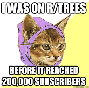 Hipster Kitty