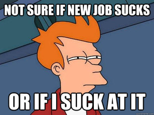 Futurama Fry