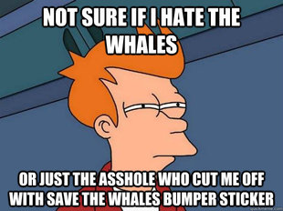 Futurama Fry