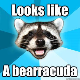 Lame Pun Coon