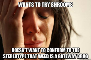 First World Problems