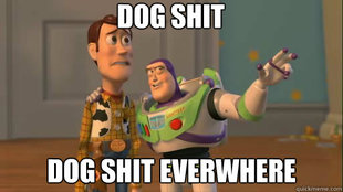 Everywhere