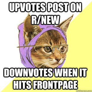 Hipster Kitty