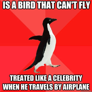 Socially Awesome Penguin