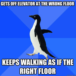 Socially Awkward Penguin