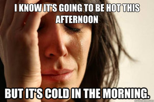 First World Problems