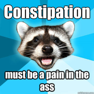 Lame Pun Coon