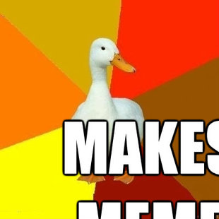 Duck Meme