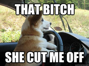 Corgi Driver