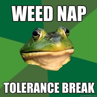 Foul Bachelor Frog