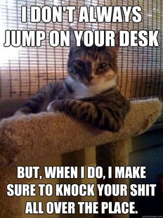 The Most Interesting Cat in the World