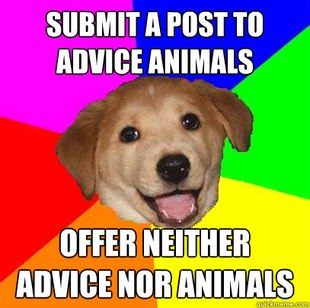 Advice Dog