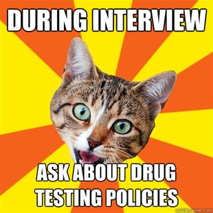 Bad Advice Cat