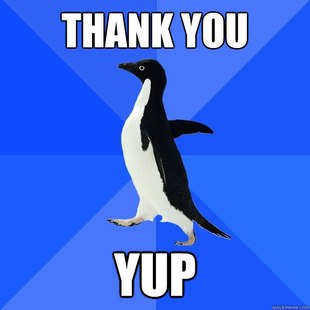 Socially Awkward Penguin