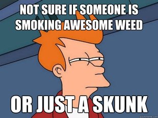 Futurama Fry