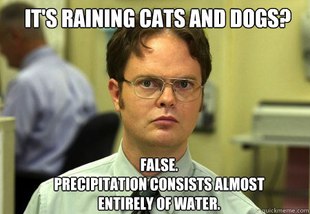 Schrute