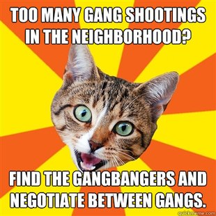 Bad Advice Cat
