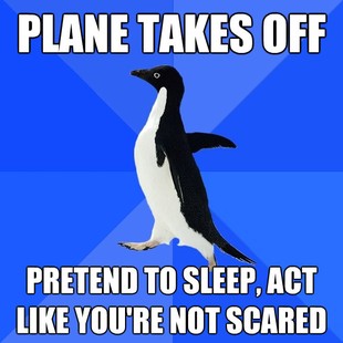 Socially Awkward Penguin