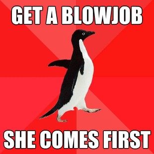 Socially Awesome Penguin