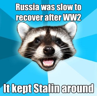 Lame Pun Coon