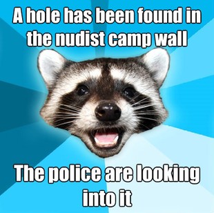 Lame Pun Coon