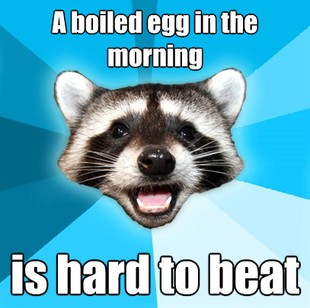 Lame Pun Coon