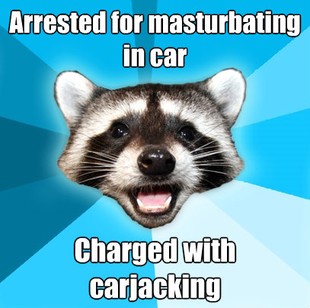 Lame Pun Coon