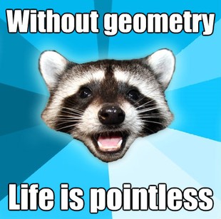 Lame Pun Coon