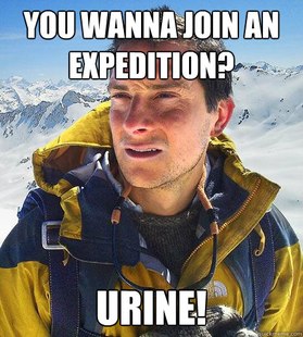 Bear Grylls