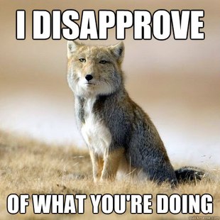 Disappointed Sand Fox