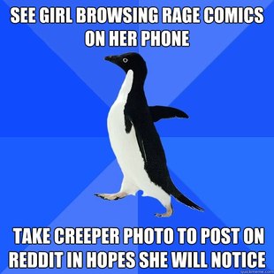 Socially Awkward Penguin