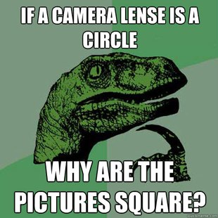 Philosoraptor