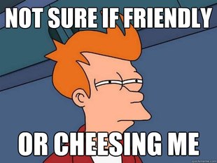 Futurama Fry