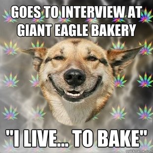 Stoner Dog