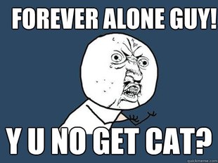Y U No