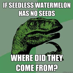 Philosoraptor