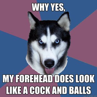 Creeper Canine