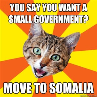 Bad Advice Cat