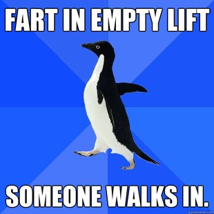 Socially Awkward Penguin